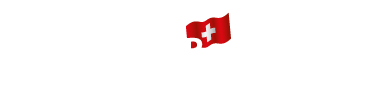 Logo-Stelzlager-Transparent-Hintergrund-377